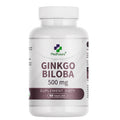 Ginkgo Biloba