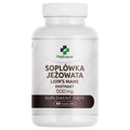 Soplówka jeżowata Lion's mane ekstrakt