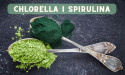 Chlorella proszek 100 g - Medfuture (Algi chlorella vulgaris)