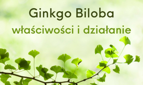 Ginkgo Biloba - właściwości i działanie Ginkgo Biloba - właściwości i działanie