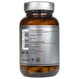 Bulwa słonecznika (Tapinambur) – ekstrakt 690 mg - Pureline