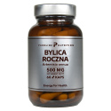 Bylica roczna (Artemisia annua) - ekstrakt 500 mg - 60 kapsułek - Pureline Nutrition