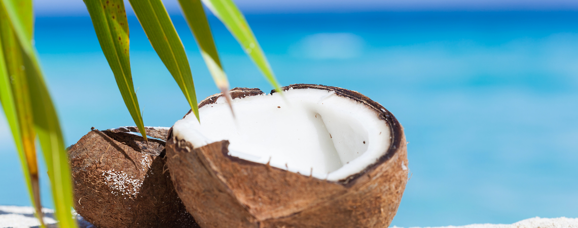 Czym jest olej kokosowy i do czego go stosować?
