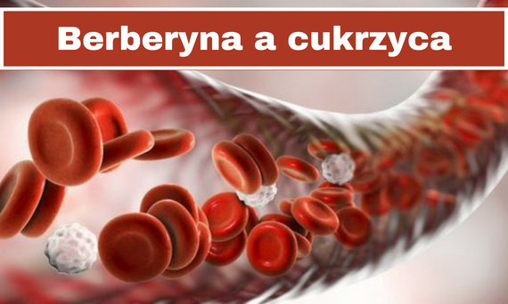 Berberyna – przy cukrzycy, insulinooporności, nadwadze.