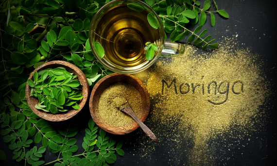 Moringa oleifera – na co pomaga?