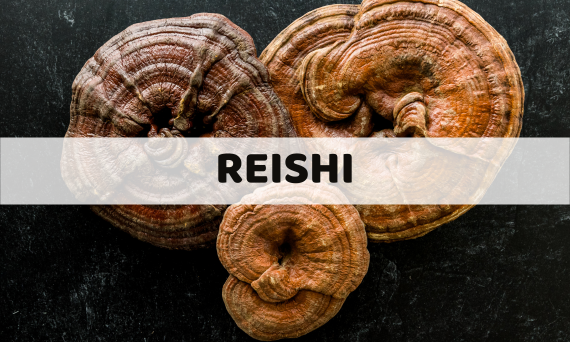 Cudowny grzyb Reishi i jego dobroczynne właściwości