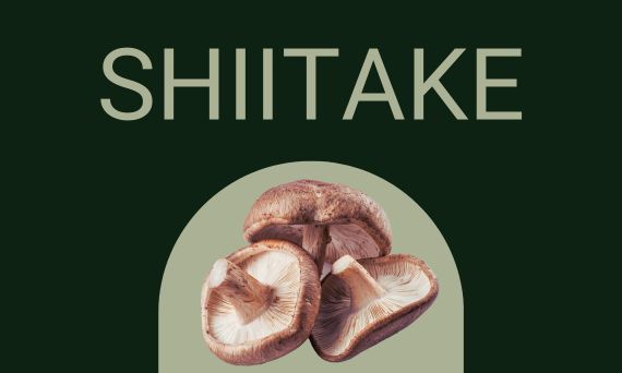 Właściwości zdrowotne grzyba Shiitake