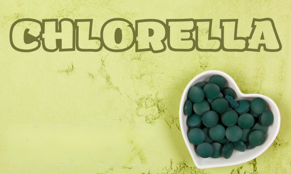 Czy chlorella pomaga w odchudzaniu?