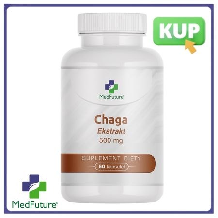 Chaga - ekstrakt 500 mg - 60 kapsułek - Medfuture