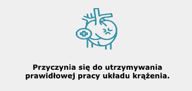 Astaksantyna wspiera pracę układu krążęnia.