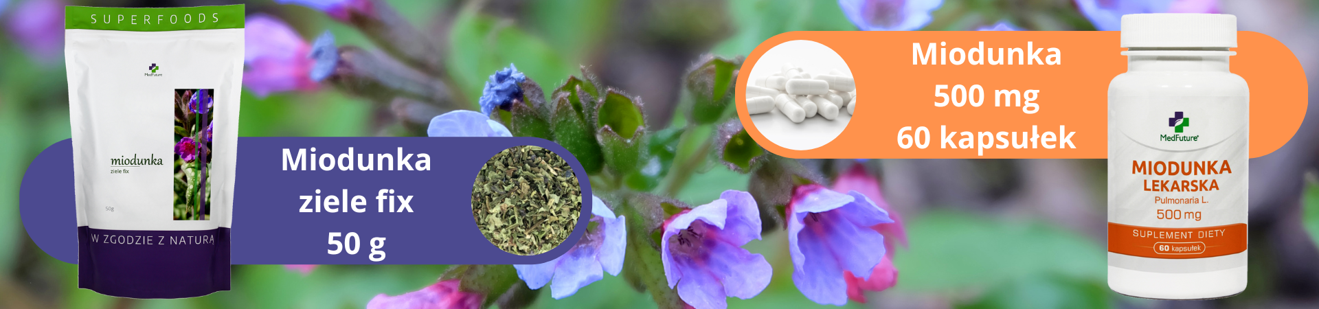 miodunka ziele fix i ekstrakt 500 mg